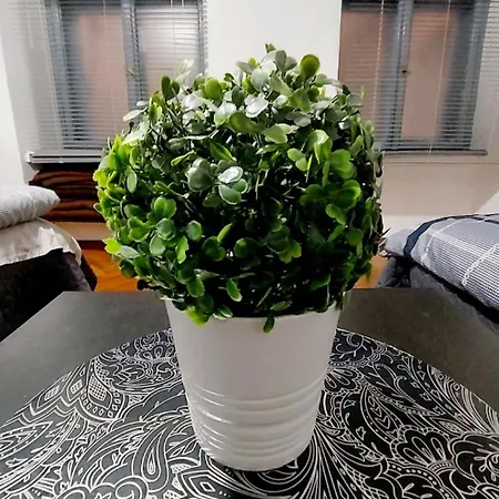 아파트 Eye Center *