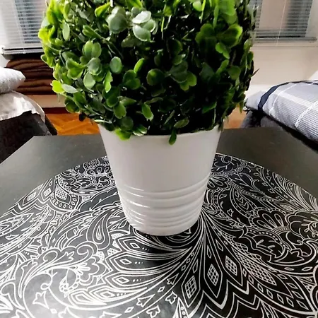 아파트 Eye Center *