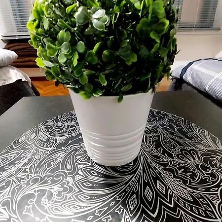 Eye Center 부다페스트