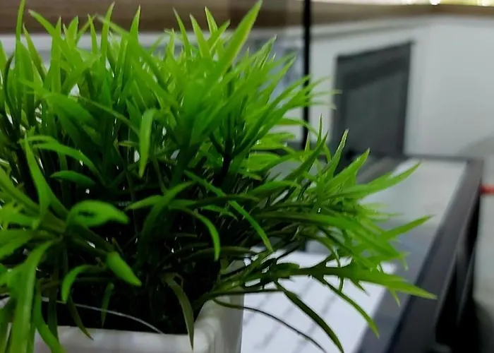 Eye Center Apartament *