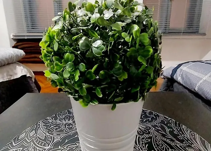 Apartament Eye Center *