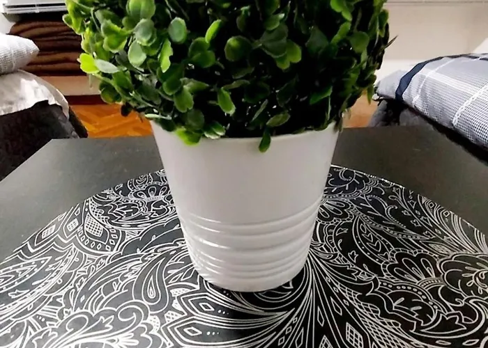 Apartament Eye Center *